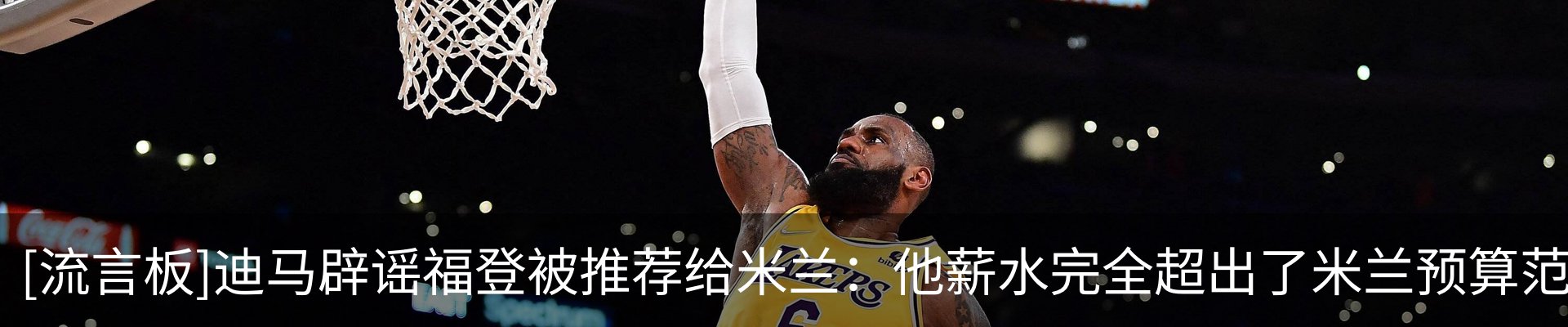 新闻动态